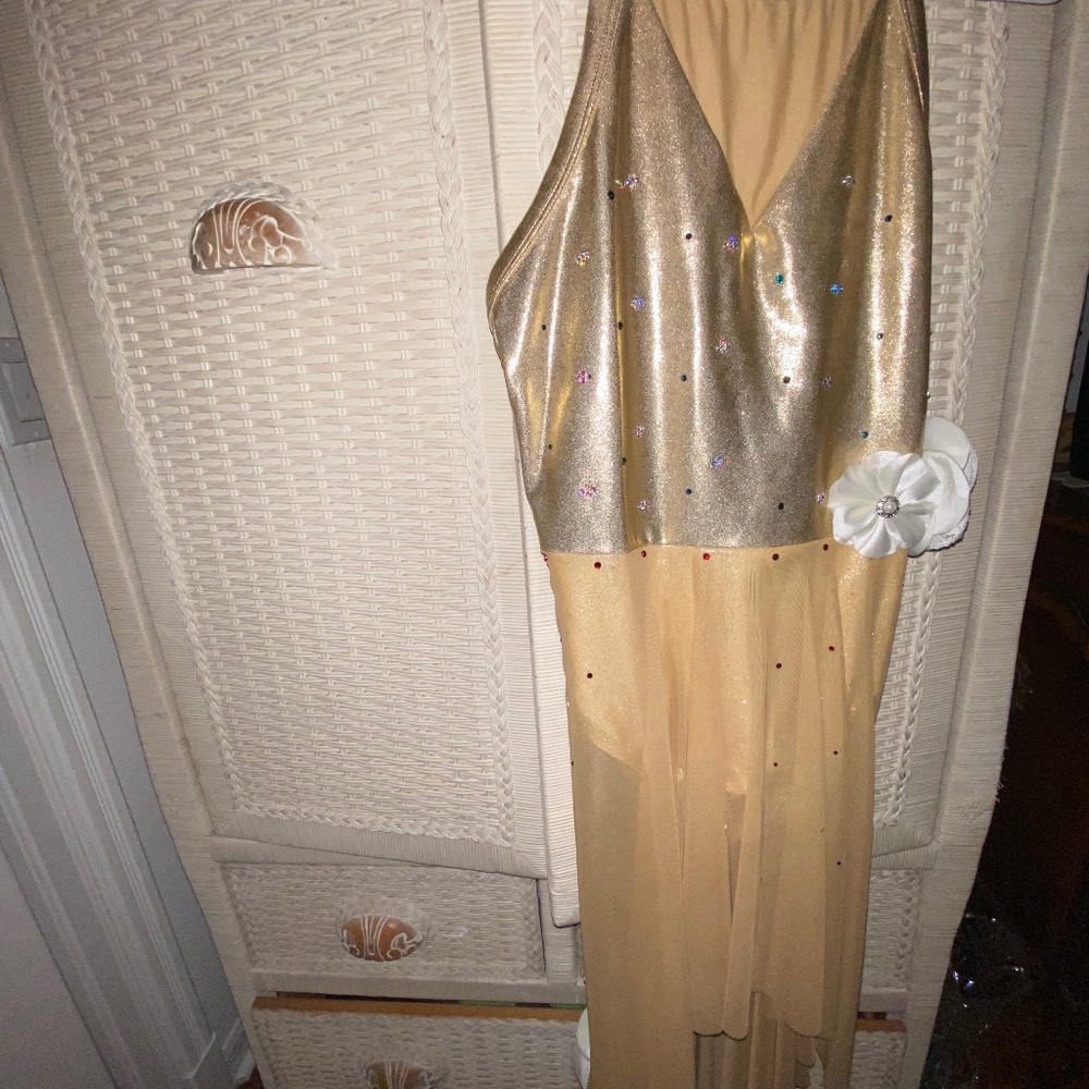 Dance Costume Adult Large